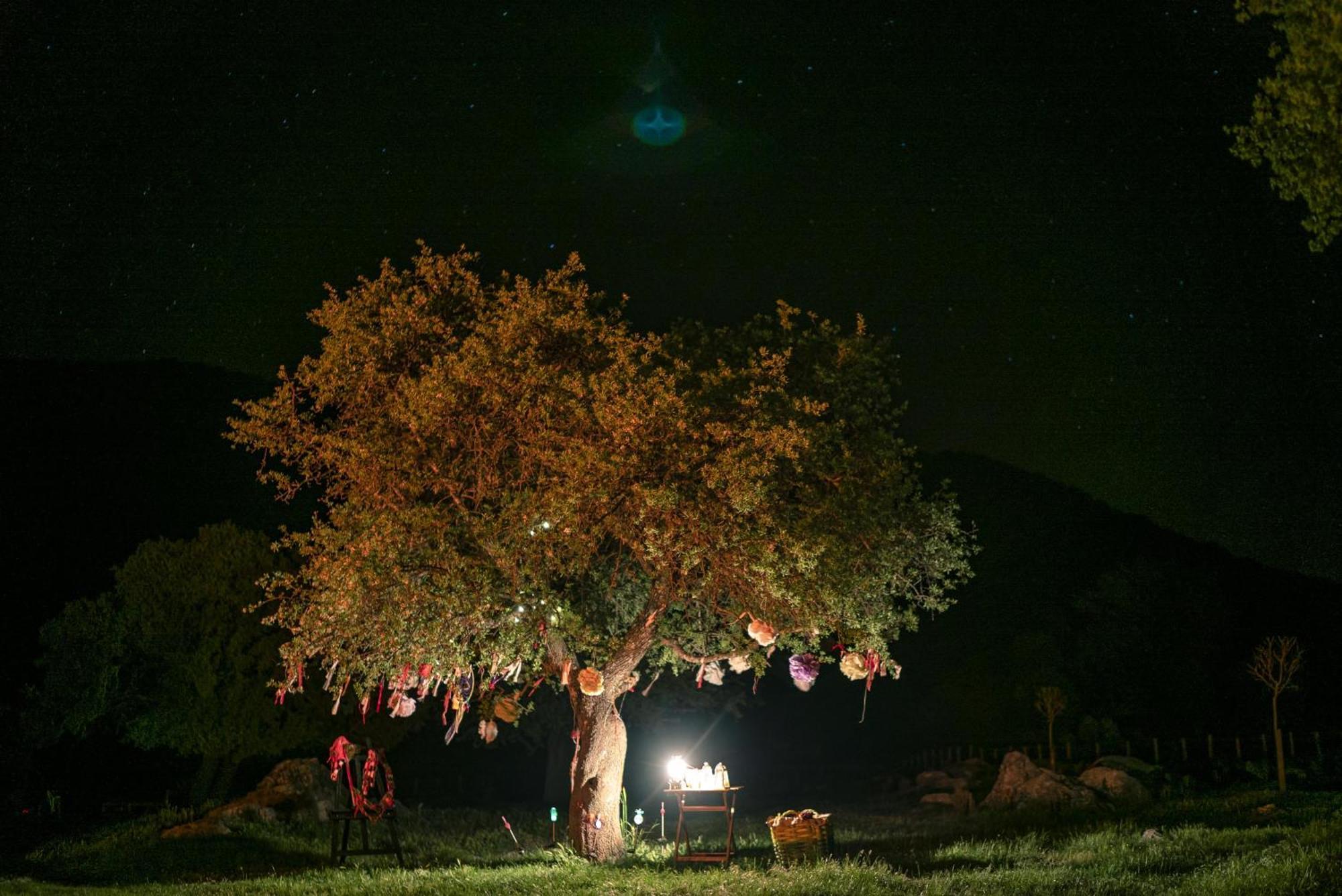 Babakamp Eco Ranch & Retreat Hotell Oludeniz Eksteriør bilde